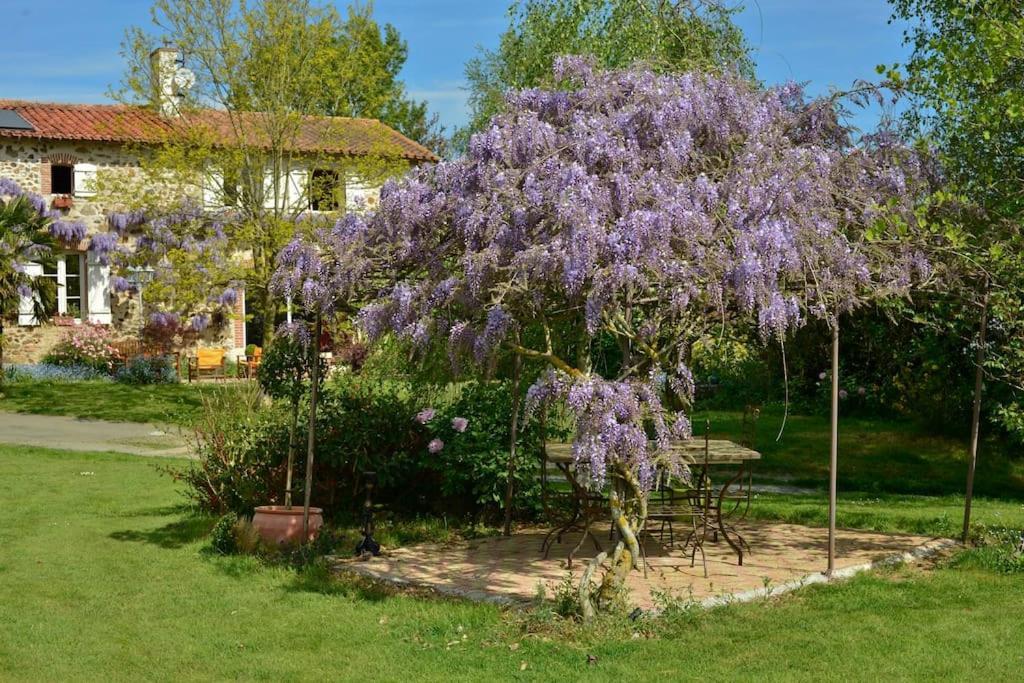 La Frapperie Bed and Breakfast La Pommeraie-sur-Sèvre Εξωτερικό φωτογραφία