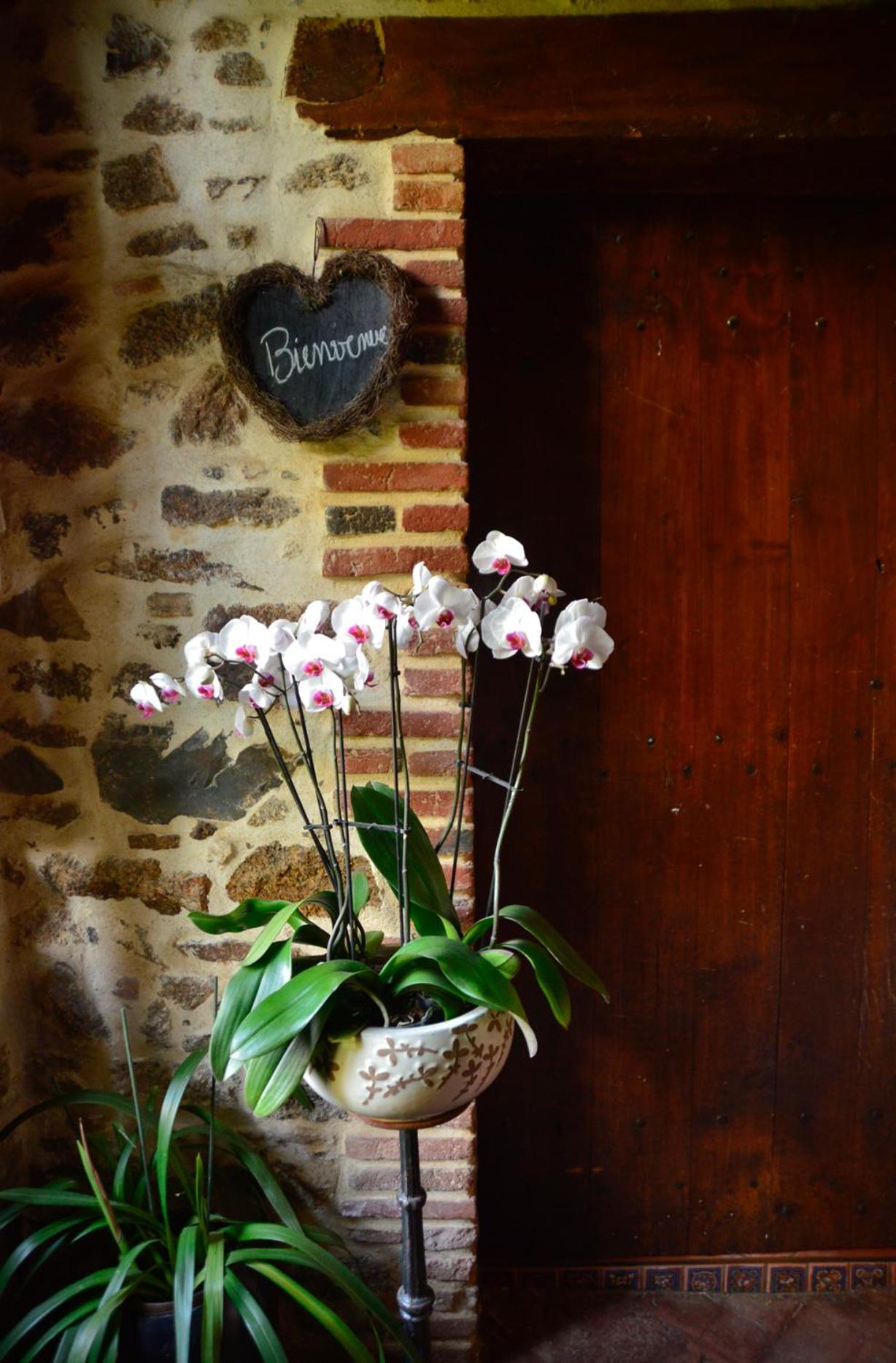 La Frapperie Bed and Breakfast La Pommeraie-sur-Sèvre Εξωτερικό φωτογραφία